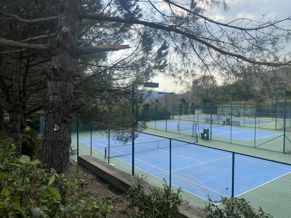 BEYKOZ KONAKLARI AĞAÇLAR İÇERİSİNDE C TİPİ KONAK